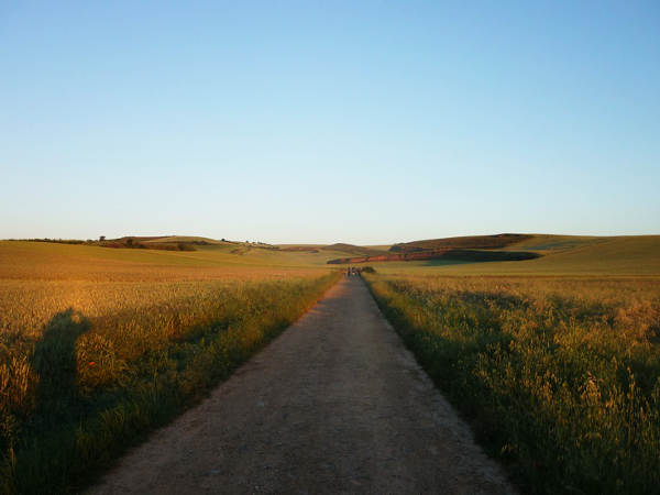 Geradeaus durch die Meseta