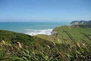 Te Araroa Track cc Flickr / ittravelnz