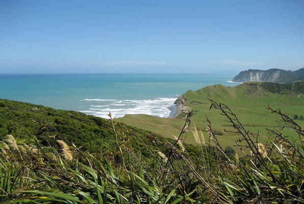 Te Araroa Track © Flickr / ittravelnz